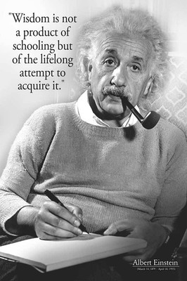 Albert Einstein - Wisdom Quote - Prints - Poster Druck - Größe 61x91,5 cm