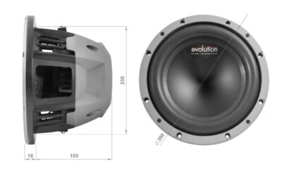 Phonocar Subwoofer 250mm Von Kegel Aus Polypropylen 02628