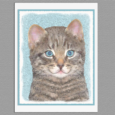 6 Gray Tabby Kitten Cat Blank Art Note Greeting Cards