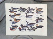 Paul Shertz 1989 Print  