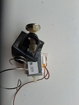 Delonghi Ecam 22.110 Ersatzteile Wasserpumpe 
