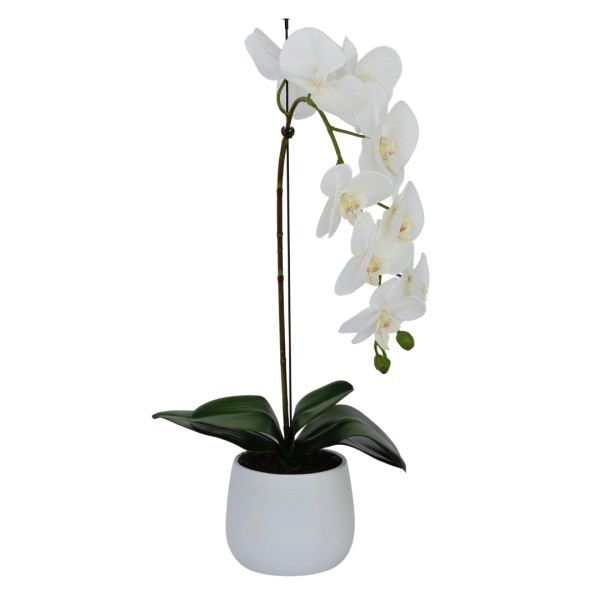 Elegant Large Single Stem White Artificial Potted Orchid Round White Ceramic Pot