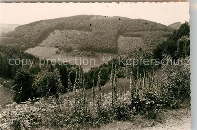 Hagen Sorpetal Panorama