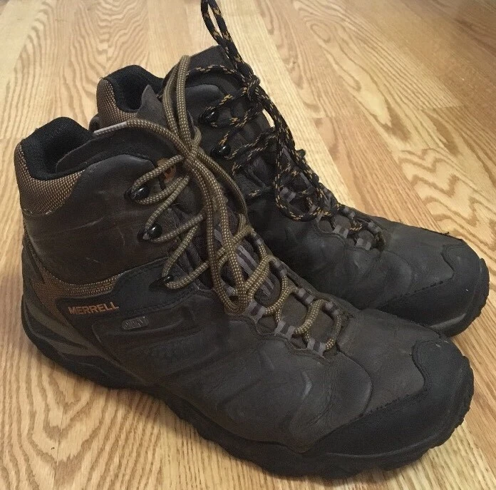 Merrell chameleon 2025 shift mid