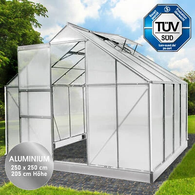 BRAST® Gewächshaus Aluminium mit Fundament | rostfrei wetterfest - 250x250x205cm