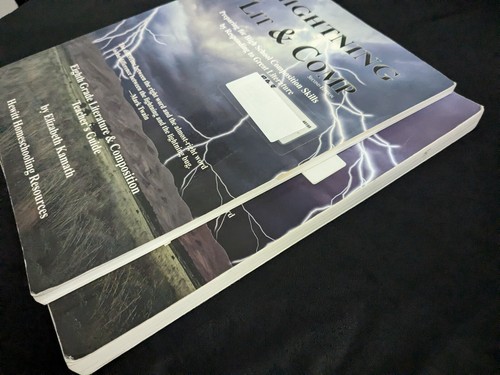 Lightning Literature and Composition Grade 8 Teacher & Student Guide Lit & Comp - Picture 4 of 10