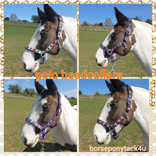 NEW COLOURS PADDED POLO HEADCOLLARS WITH POLL PRESSURE PAD PONY COB FULL - Picture 3 of 13