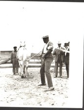 RARE  JACK JOHNSON HORSE PULL MEXICO 1920  UNITED PRESS INTERNATIONAL PHOTO