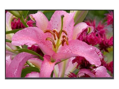 NE160QDM-NY3 - LCD 16.0' WQXGA WV EDP 165HZ Panel For GU603HM-211.ZM16 Notebook