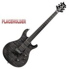 PRS SE Torero electric guitar, upgrades, hardcase