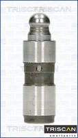 Triscan 80-60000 VentilstößEl