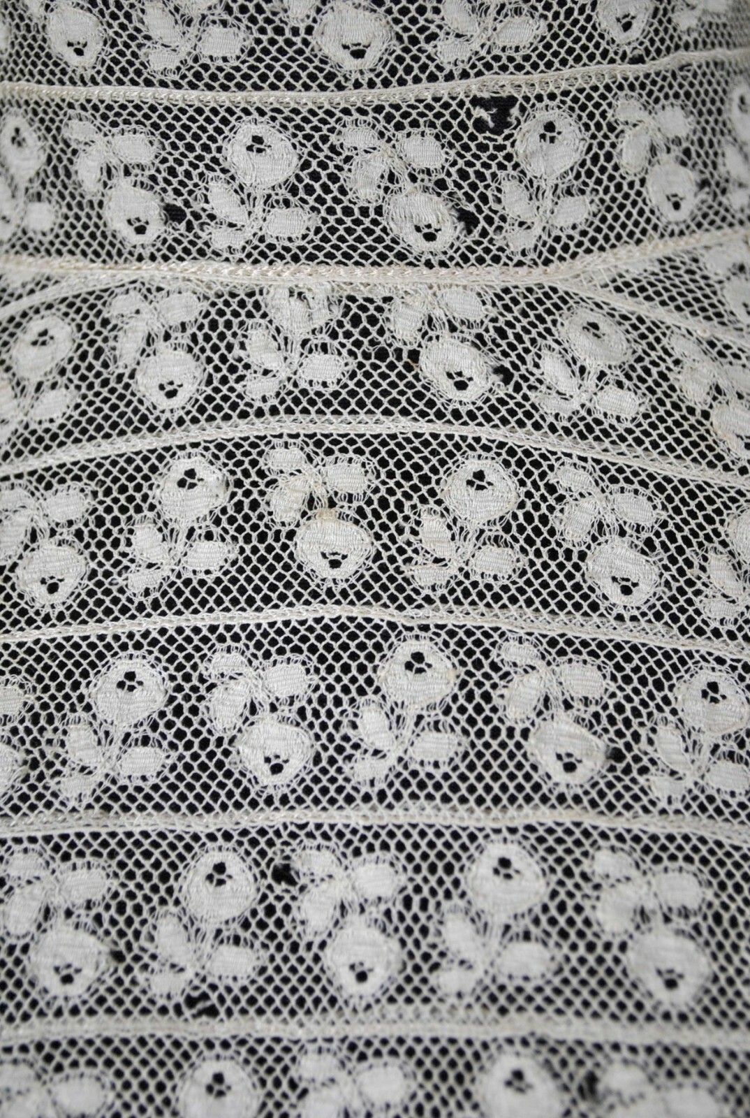 Picture 10 of 12