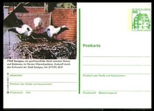 (820) Bildpostkarte ** - Saulgau - postfrisch