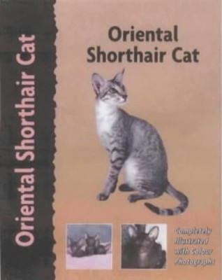 Oriental Shorthair Cat (Pet Love) (..., Maria Graciete 