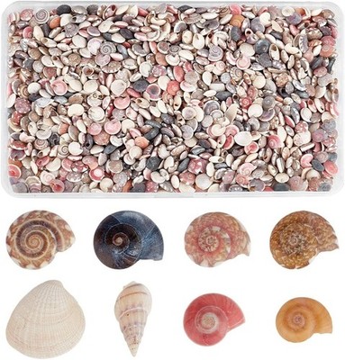 Tiny Sea Shells No Hole, 190G Colorful Spiral Ocean Beach Seashells Small Turbo 