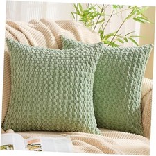 Decorative Throw Pillow Covers 16x16 Inch 16" x 16" Pack of 2 Light Green