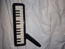 Melodica piano insterment
