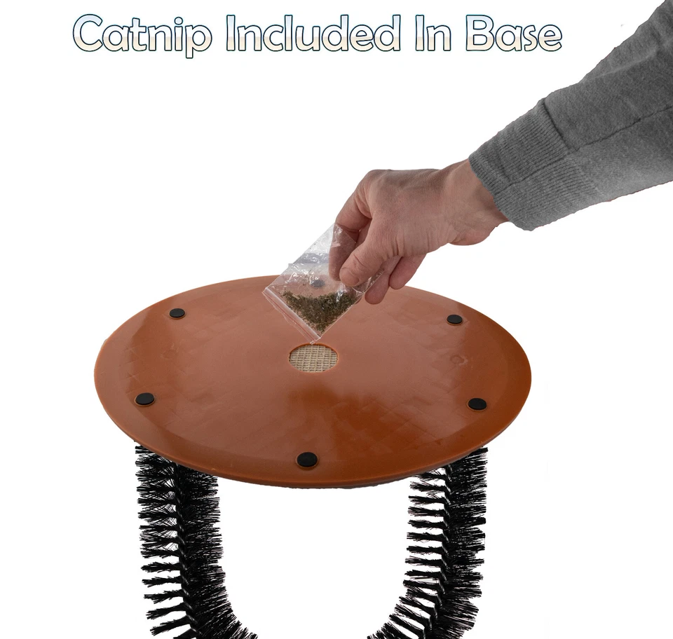 Poste de juguete para arco de auto aseo para gatos con juguete para ratón, cepillo de cerdas hierba gatera almohadilla rascadora Foto 4 de 4