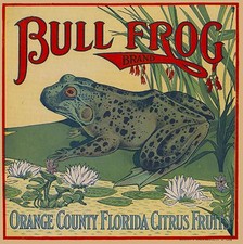 Orange County Florida Bull Frog Orange Citrus Fruit Crate Label Art Print
