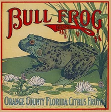 Orange County Florida Bull Frog Orange Citrus Fruit Crate Label Art Print