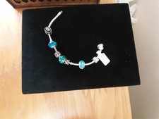 Pandora Bracelet With 7 Charms