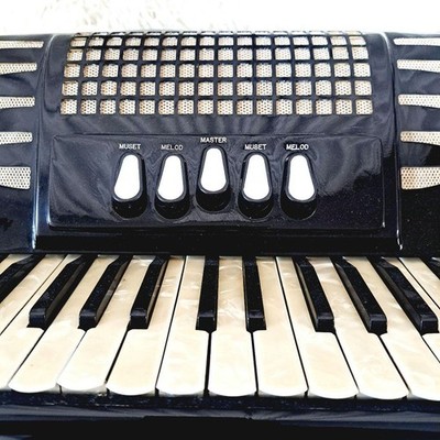 Excelsior 303 Accordion 37 Keys 120 Bass Made in Italy | eBay