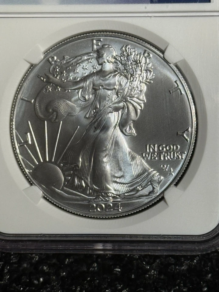 2024 P Eagle S $1 Primera Estrella Privado Liberación Gema Sin Circular Una de las Primeras 50.000 Foto 3 de 4