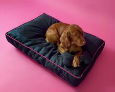 Dog bed with removable micro suede cover, fashion bed Blue Navy For Large Dogs