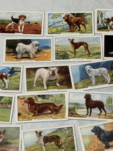 Bulk Lot Gallaher Dogs Trading Cards 47 Of 48 Second Series - Picture 3 of 9