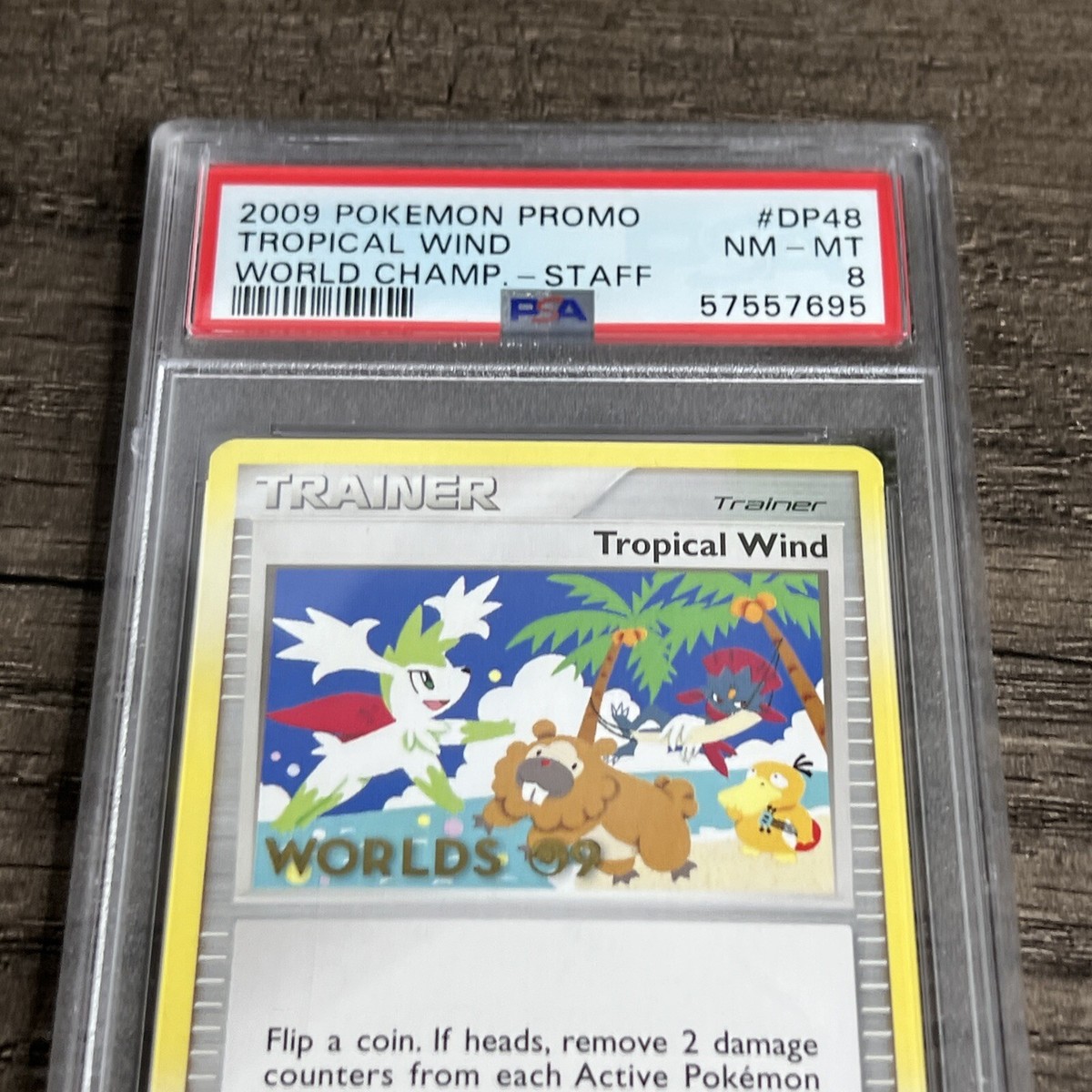PSA 8 2009 STAFF Tropical Wind English Pokemon World