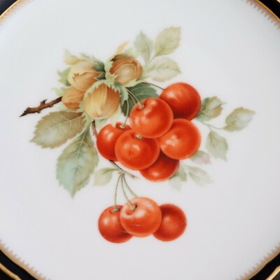 Antique Hutschenreuther HOHENBERG BAVARIA 1814-1914 Hand Painted
