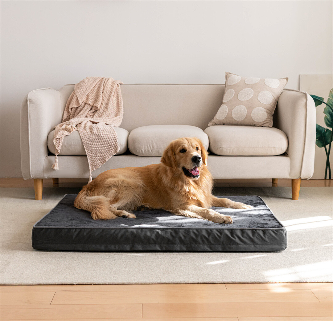 Soft Pet Beds Washable Dog Beds Removable Cover Waterproof Dog Mattress