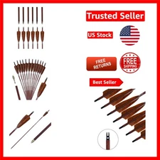 31-Inch Archery Carbon Arrows for Recurve & Traditional Bows – 12-Pack Value Set