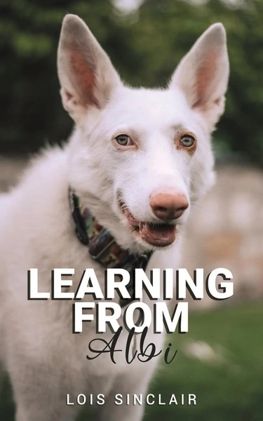 Lois Sinclair | Learning From Albi | Taschenbuch | Englisch (2024)-image