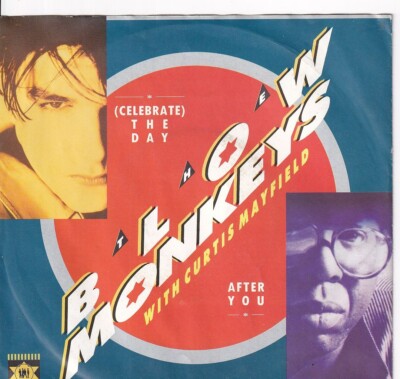 7'' Single - The Blow Monkeys - (Celebrate) The day after you