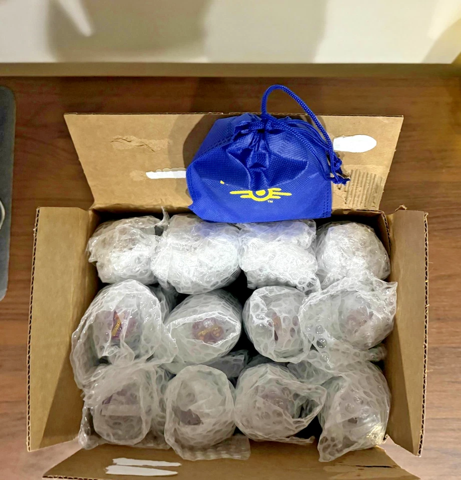 Fallout x Jones Soda Co - Vault-Tec Supply Paquete de 12 - CADA BOTELLA ENVUELTA EN BURBUJAS Foto 3 de 4