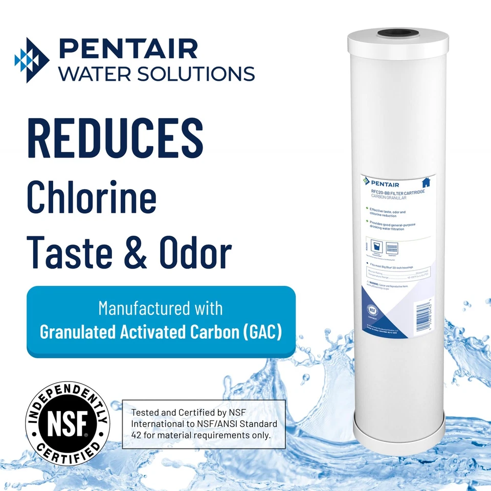 Filtro de agua de carbono para toda la casa Pentair Pentek RFC 20BB capacidad de 100000 galones Foto 3 de 4
