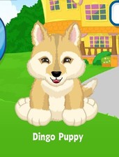 Webkinz Classic Dingo Puppy Adoption Code Only Messaged