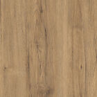 Bild 8 von 13