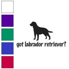 Got Labrador Retriever, Vinyl Decal Sticker, Multiple Colors  Sizes 1253