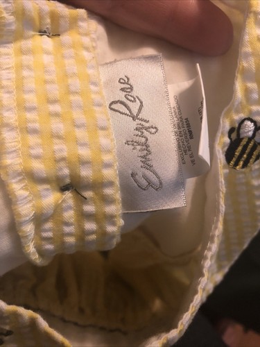 Emily Rose Embroidered Seersucker Dress Bees and Daisies Girls Size 2T - Picture 8 of 9