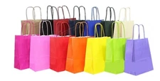 Party Paper Birthday Bags with Twisted Handles ~ Carrier Gift Bag *