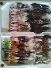 salmon and steelhed flies
