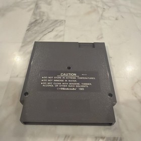 Solstice: The Quest for The Staff of Demnos (Nintendo NES 1990) Pulito