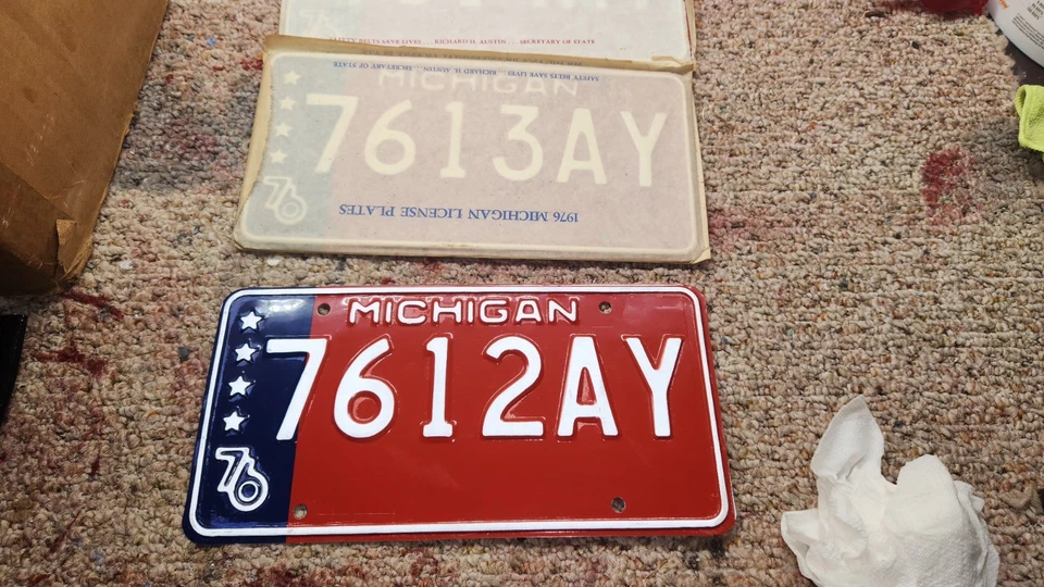 1976 Мичиган номерной знак двухсотлетие последовательные пары #7613AY - #7650AY - Изображение 3 из 4