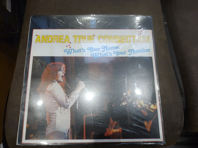 ANDREA TRUE CONNECTION - What's your Name, BDS 5702, NEU OVP, LP von 1978, mint