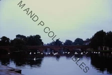 ORIGINAL Vintage Americana 35mm Photo Slide One of A Kind Candid AIT003617