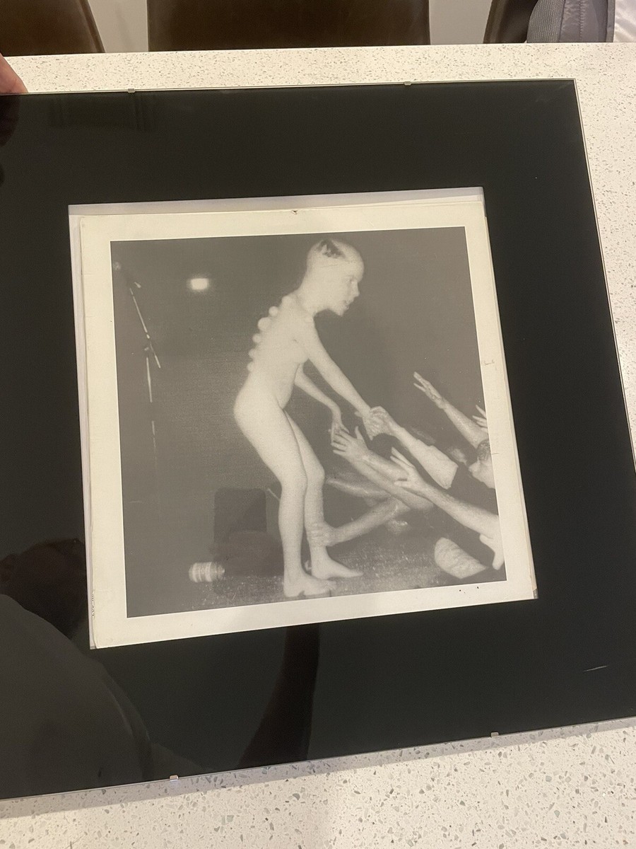 Butthole Surfers – Double Live レコード butthole surfer double live album | eBay