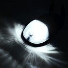 Bild 6 von 9
