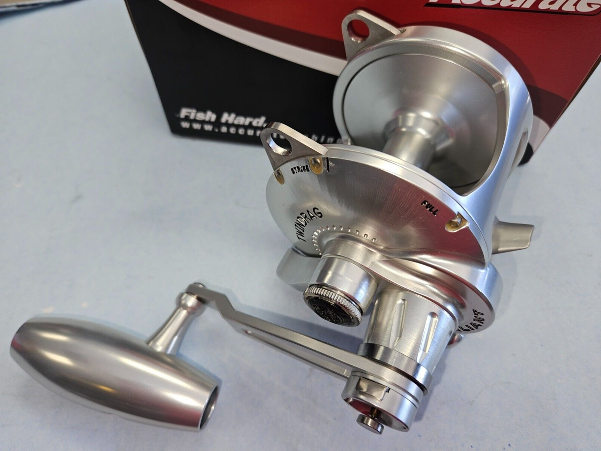 Accurate Valiant Reel BV2-800 Silver with 3.8